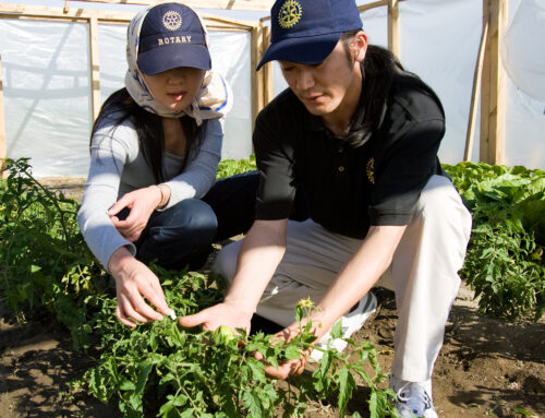 Growing Local Economies